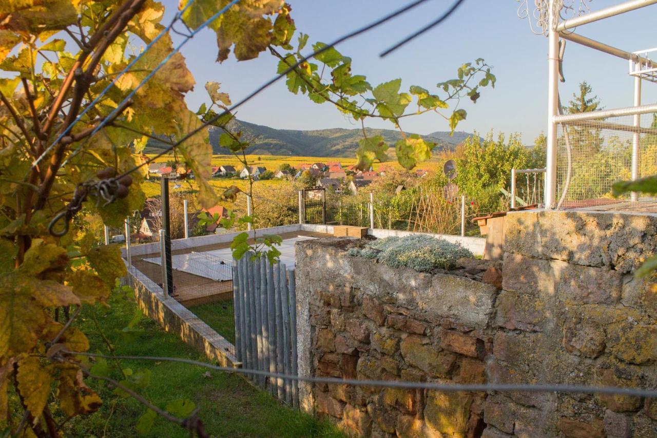 Le Zell Villa Zellenberg Ngoại thất bức ảnh